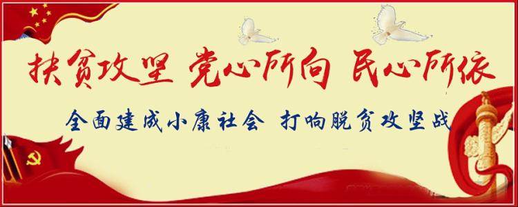 將“精準(zhǔn)”貫穿全過程全領(lǐng)域